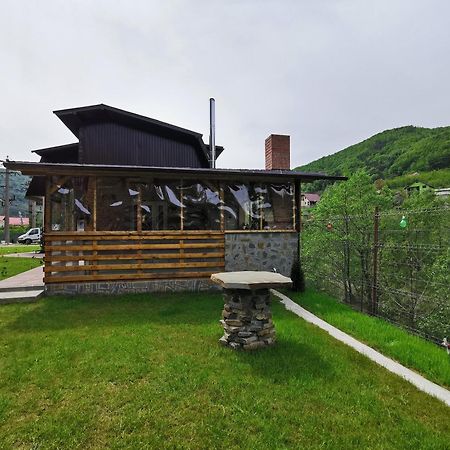 Casa Vio Guest House Nehoiu Luaran gambar