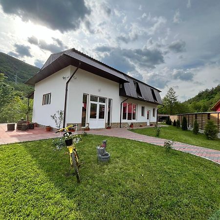 Casa Vio Guest House Nehoiu Luaran gambar