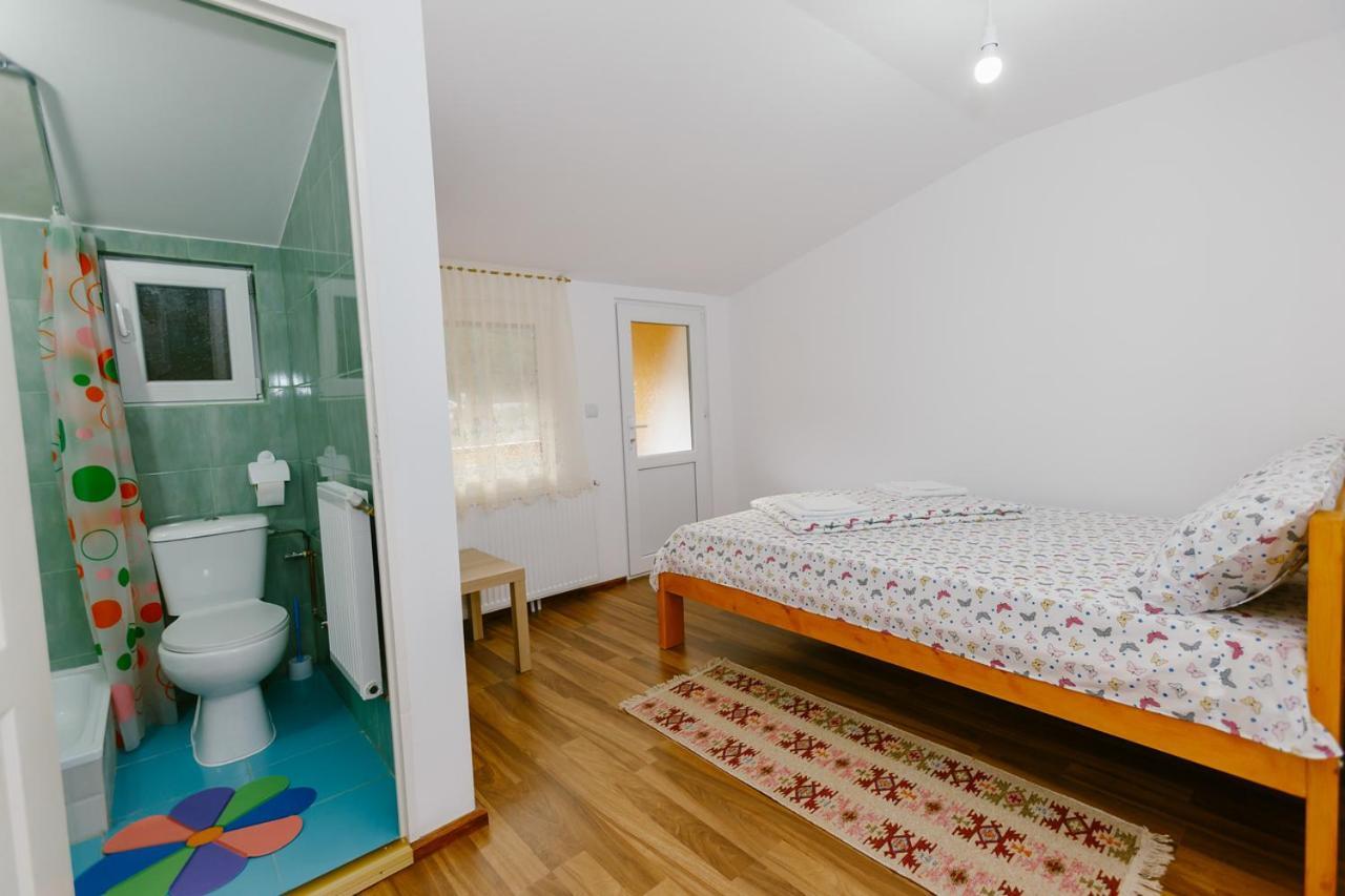 Casa Vio Guest House Nehoiu Luaran gambar