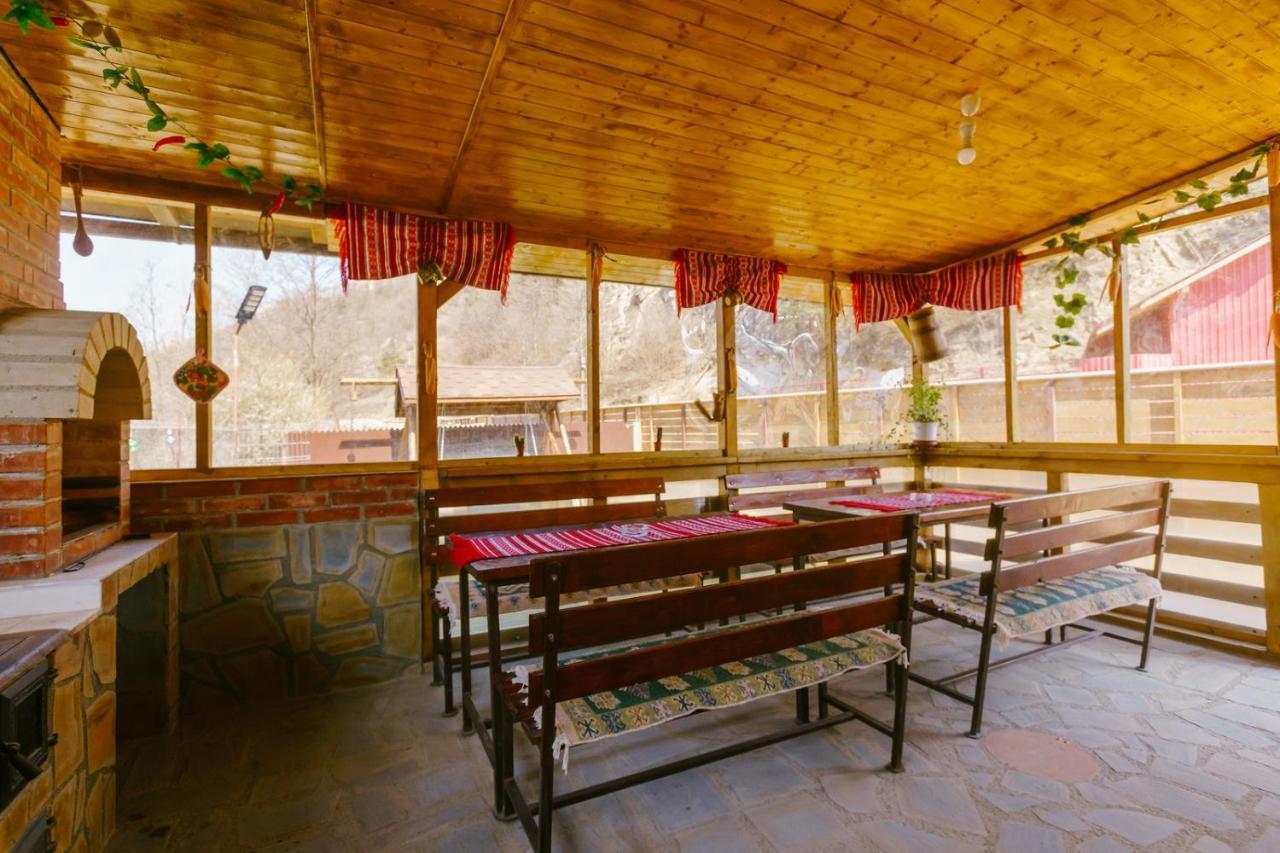 Casa Vio Guest House Nehoiu Luaran gambar
