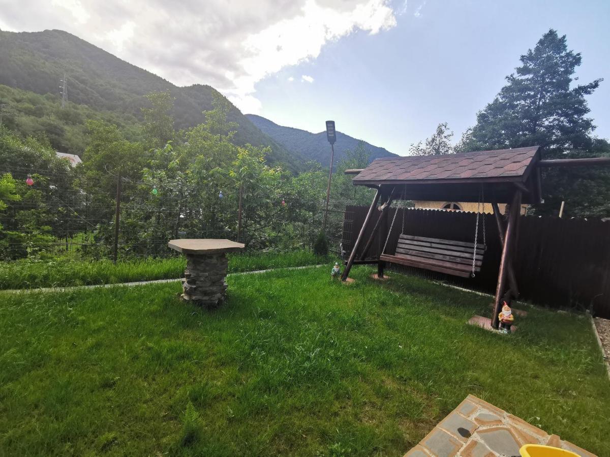 Casa Vio Guest House Nehoiu Luaran gambar