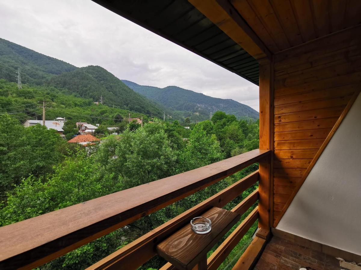 Casa Vio Guest House Nehoiu Luaran gambar