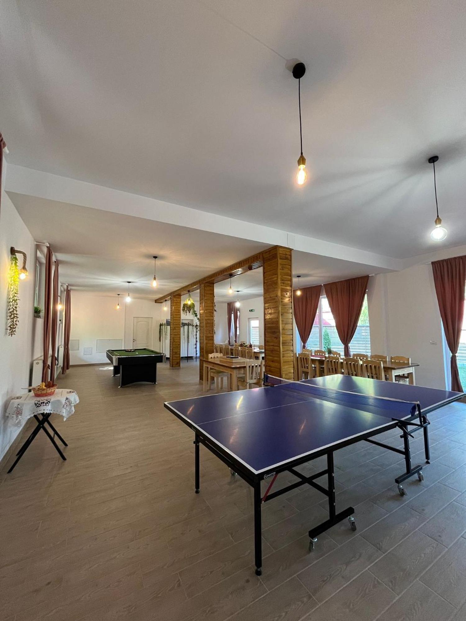 Casa Vio Guest House Nehoiu Luaran gambar