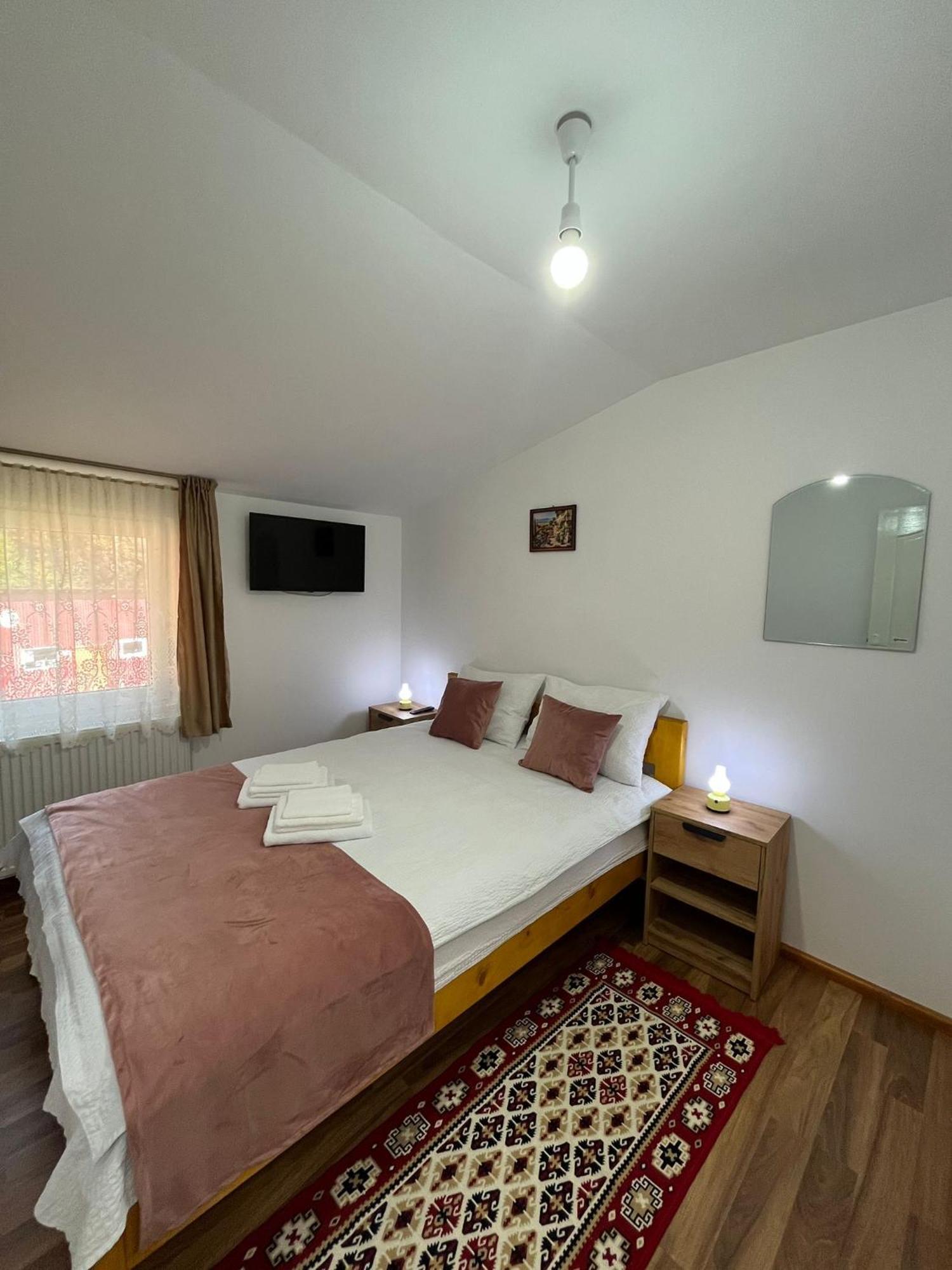 Casa Vio Guest House Nehoiu Luaran gambar